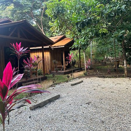 Finca Avellanas Lorena Luaran gambar