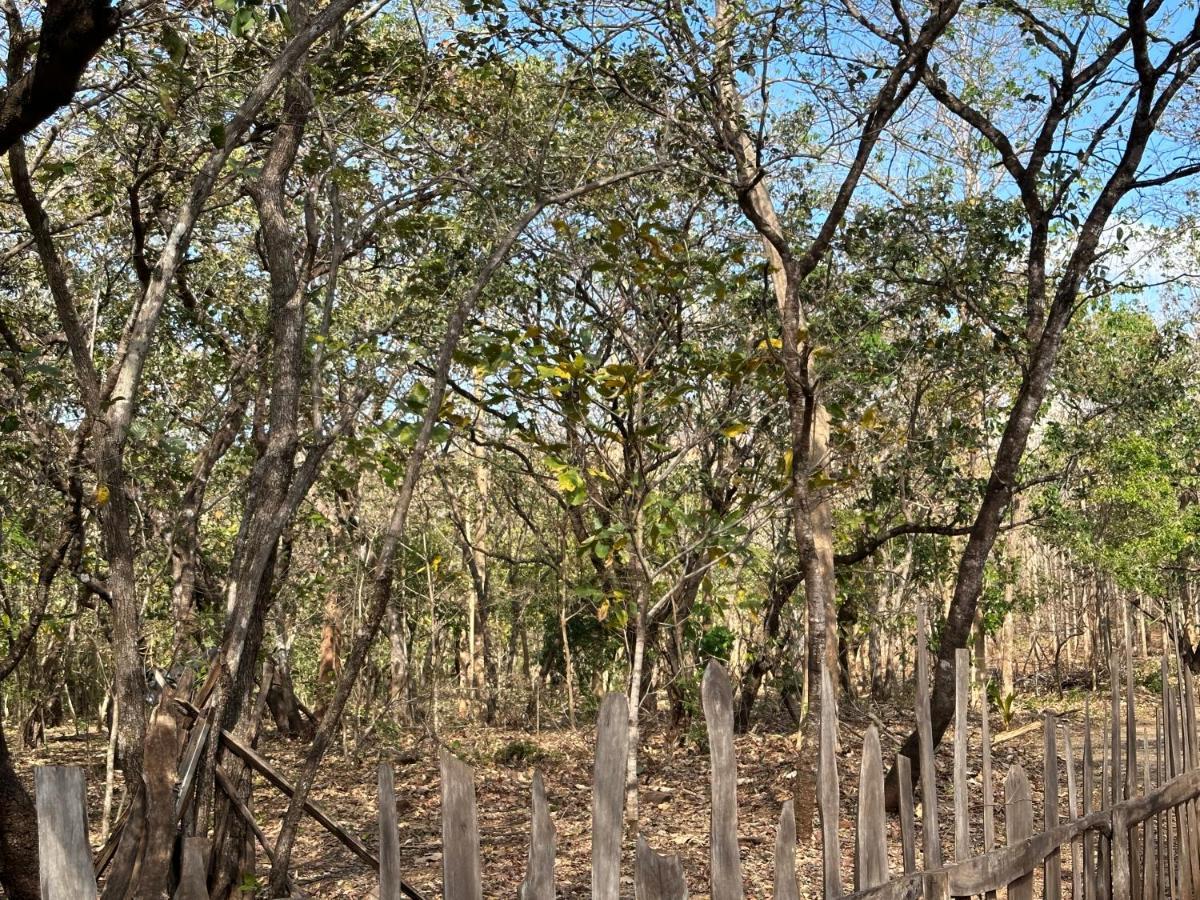 Finca Avellanas Lorena Luaran gambar