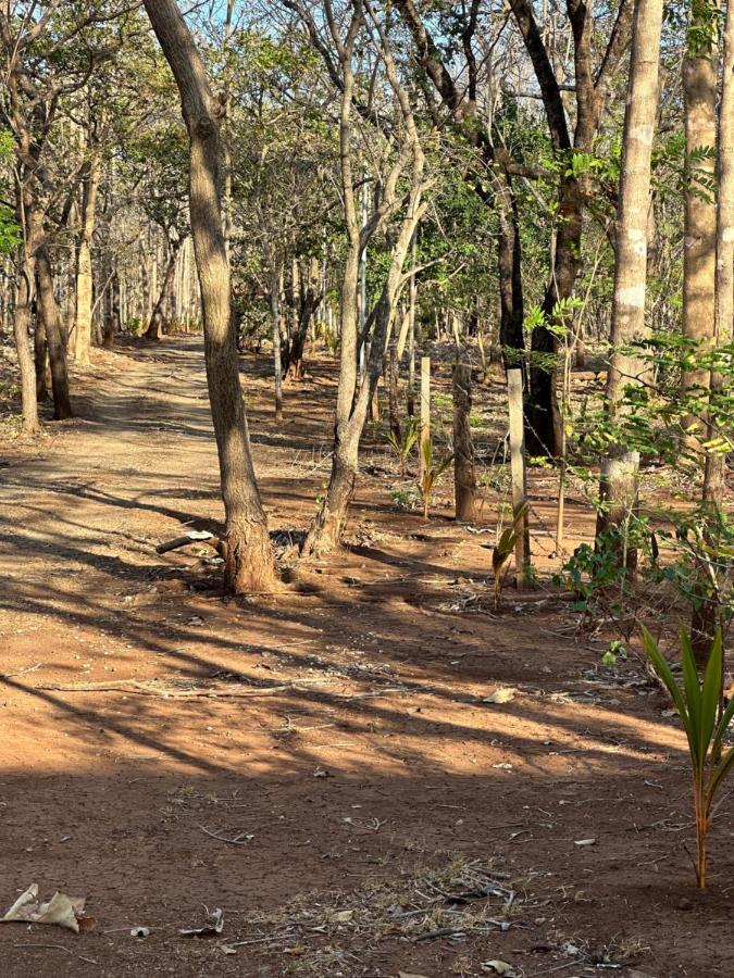 Finca Avellanas Lorena Luaran gambar