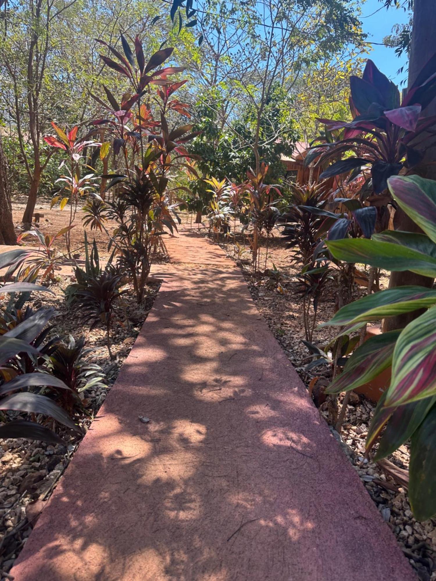 Finca Avellanas Lorena Luaran gambar