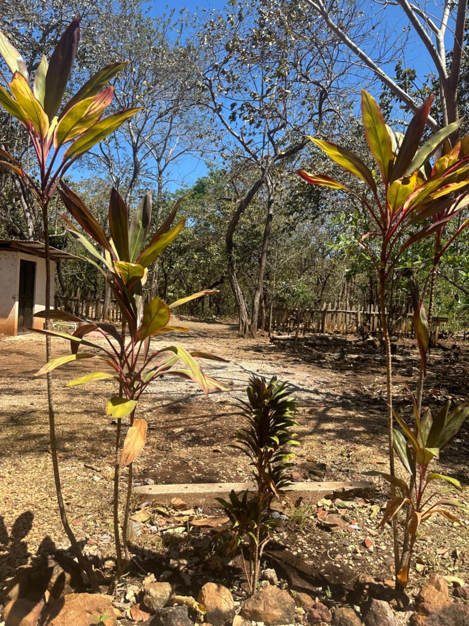 Finca Avellanas Lorena Luaran gambar