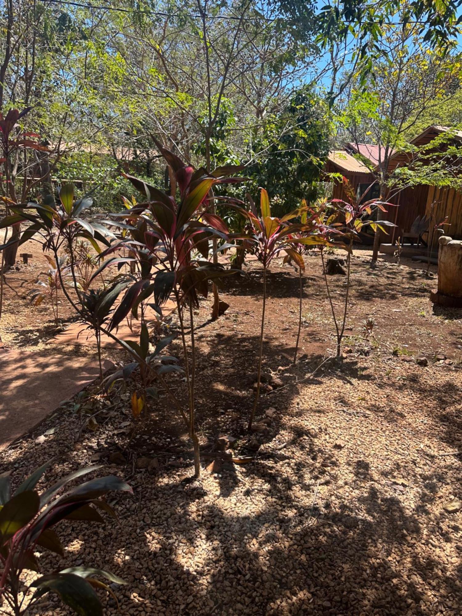 Finca Avellanas Lorena Luaran gambar