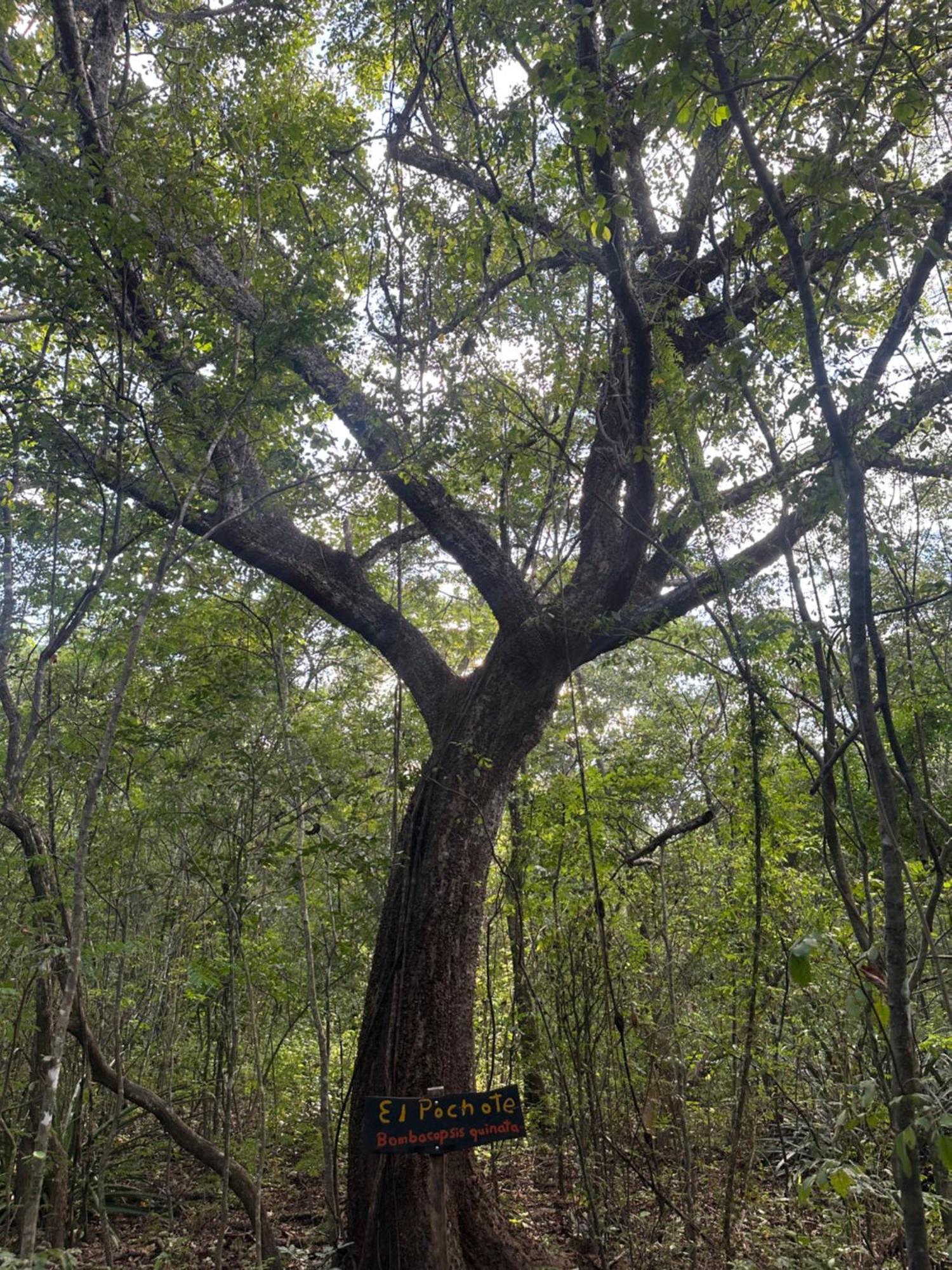 Finca Avellanas Lorena Luaran gambar