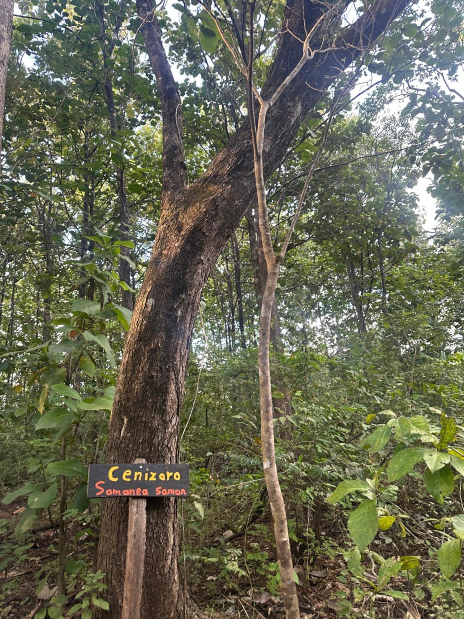 Finca Avellanas Lorena Luaran gambar