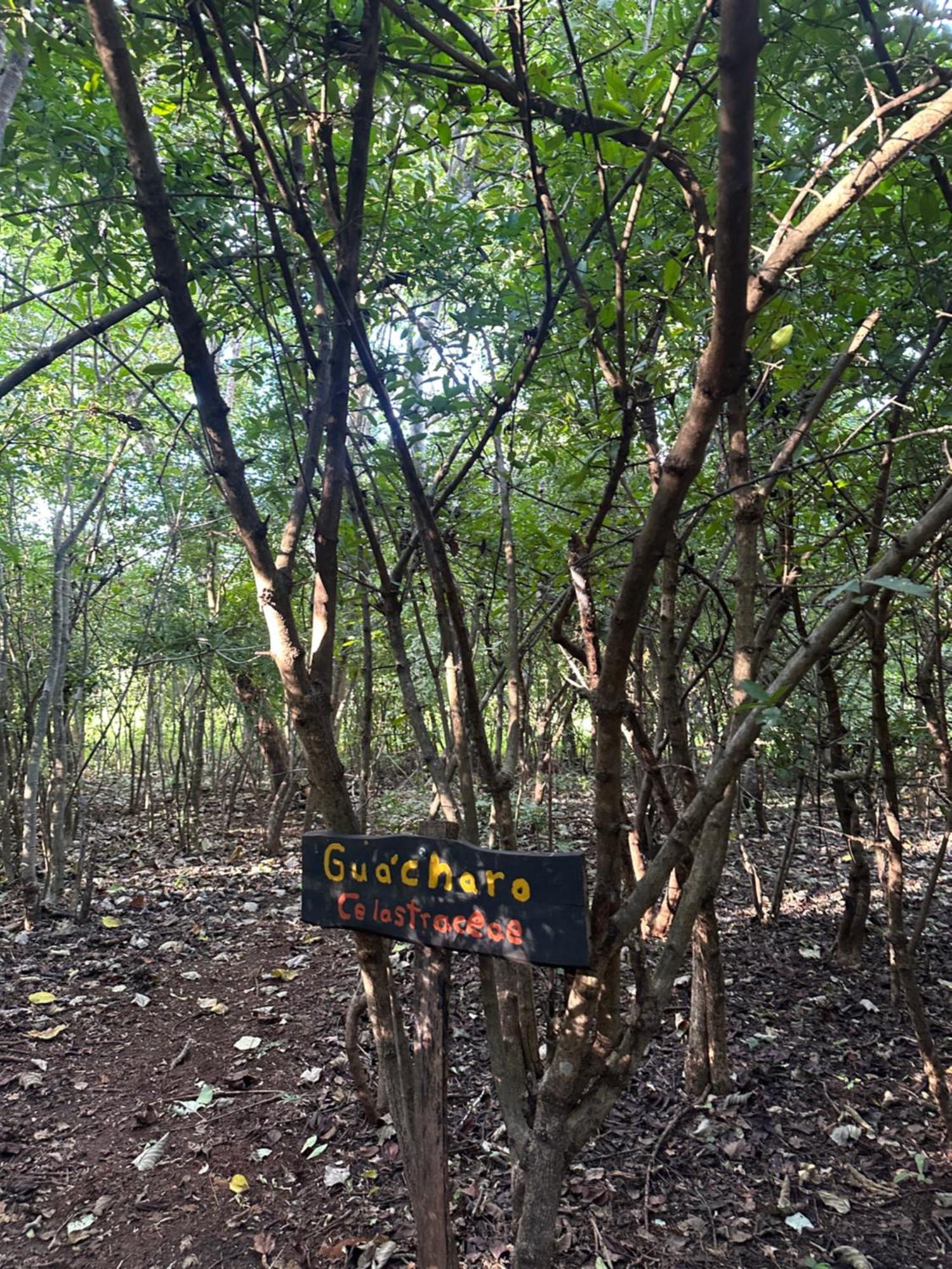 Finca Avellanas Lorena Luaran gambar